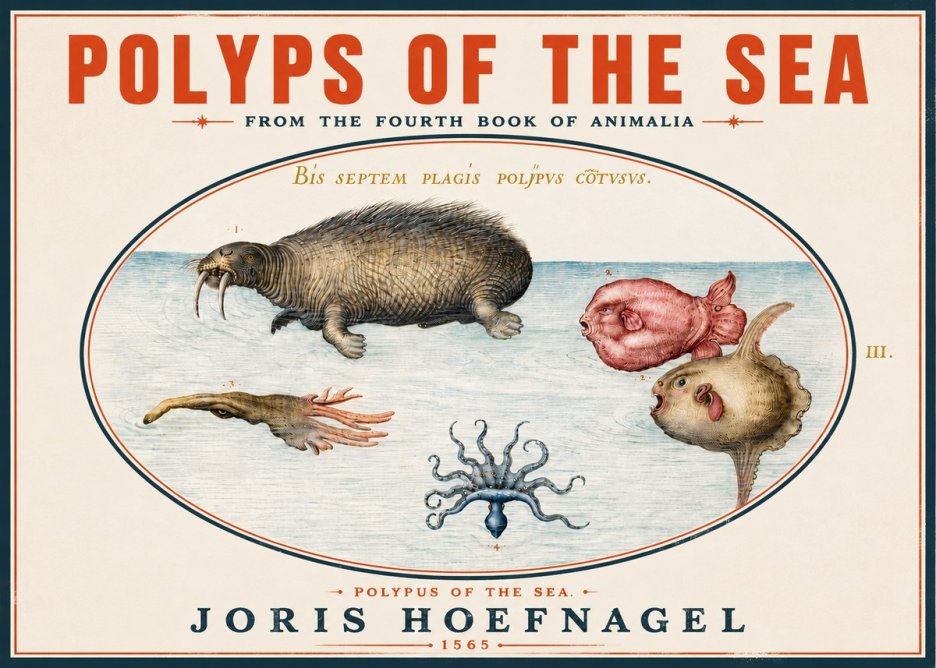 Joris Hoefnagel Polyps of the Sea No4 - Juliste