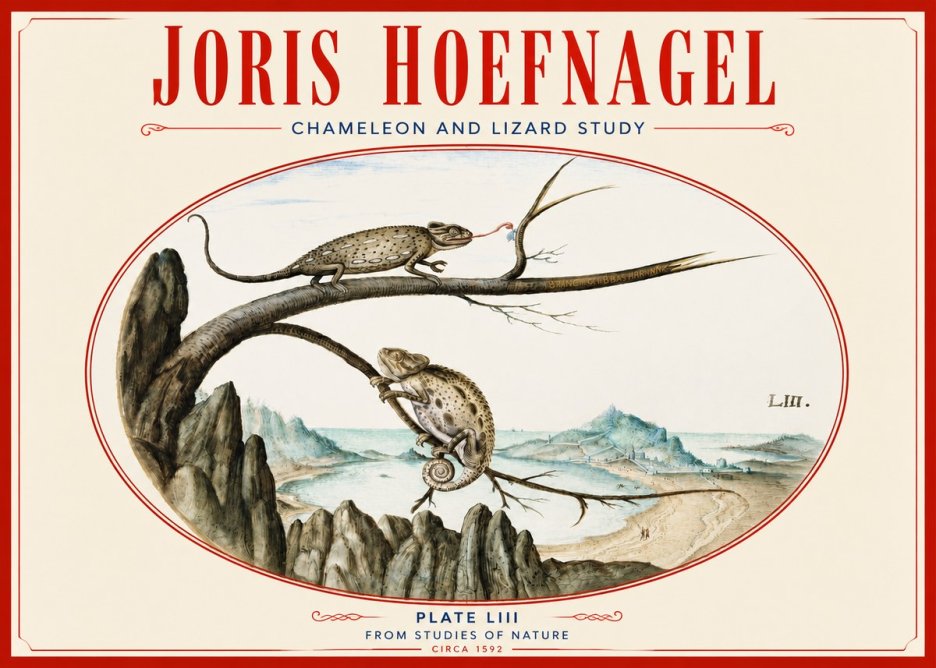 Joris Hoefnagel Chameleon and Lizard No4 - Juliste
