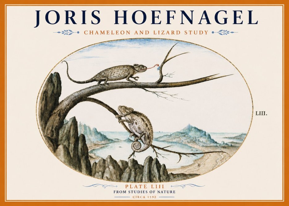 Joris Hoefnagel Chameleon and Lizard No6 - Juliste