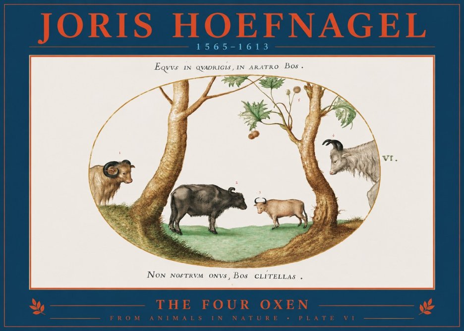 Joris Hoefnagel The Four Oxen No2 - Juliste