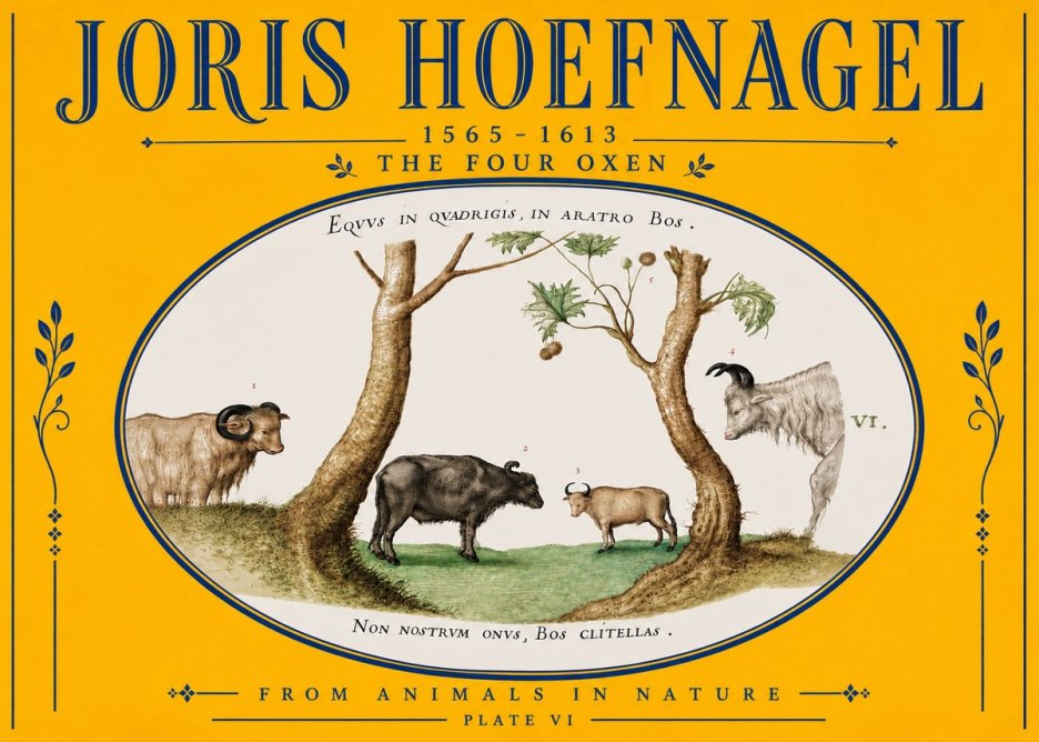 Joris Hoefnagel The Four Oxen No5 - Juliste