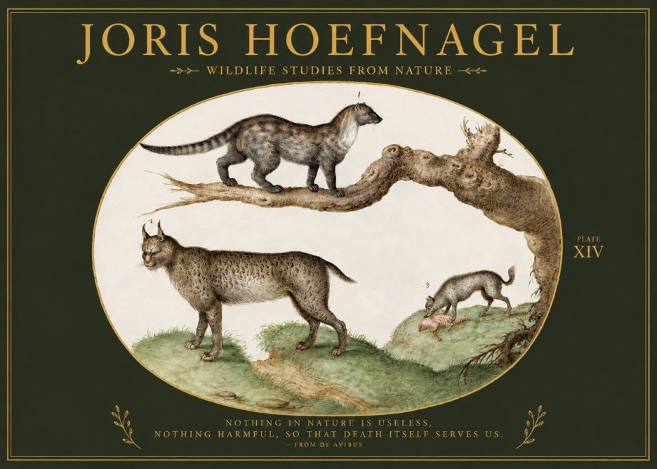 Joris Hoefnagel Wildlife Studies from Nature - Plate Xiv No2 - Juliste