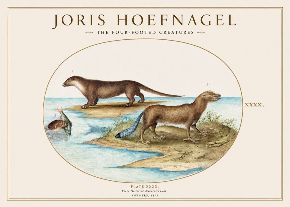 Joris Hoefnagel The Four-footed Creatures No1 - Juliste