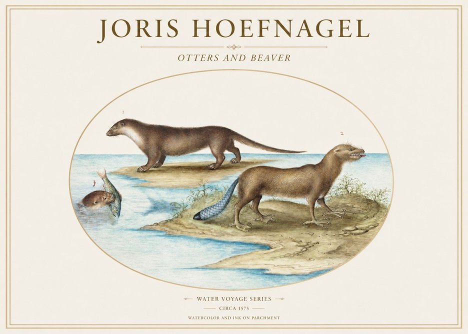 Joris Hoefnagel The Four-footed Creatures No2 - Juliste