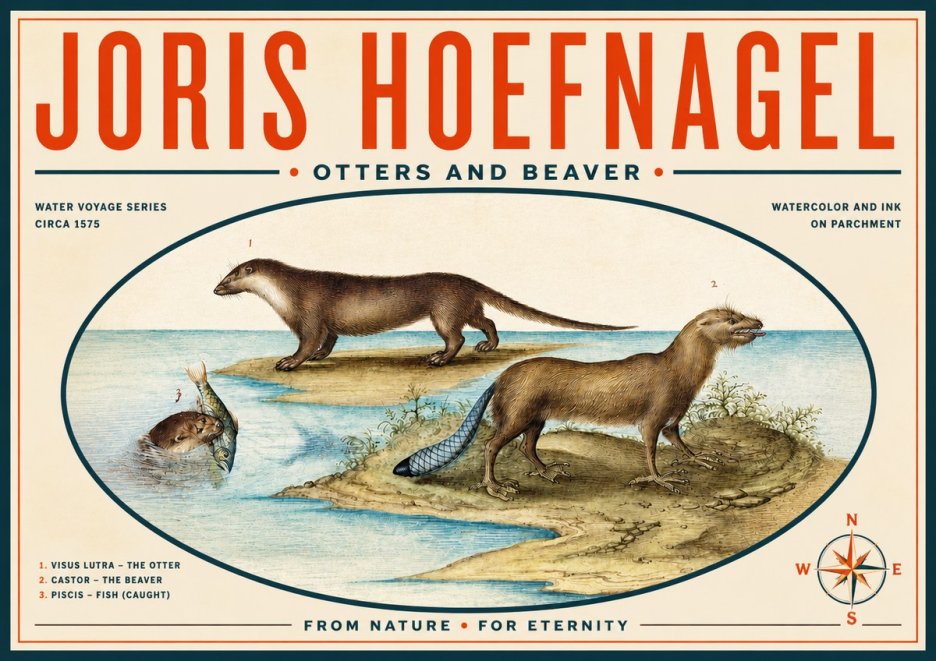 Joris Hoefnagel The Four-footed Creatures No6 - Juliste