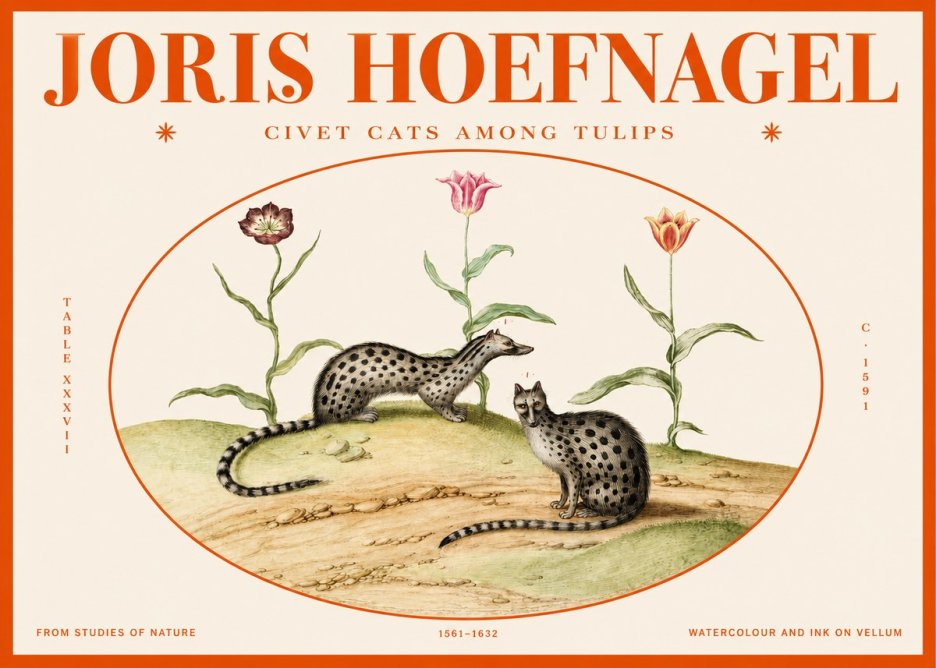 Joris Hoefnagel Civet Cats Among Tulips No2 - Juliste