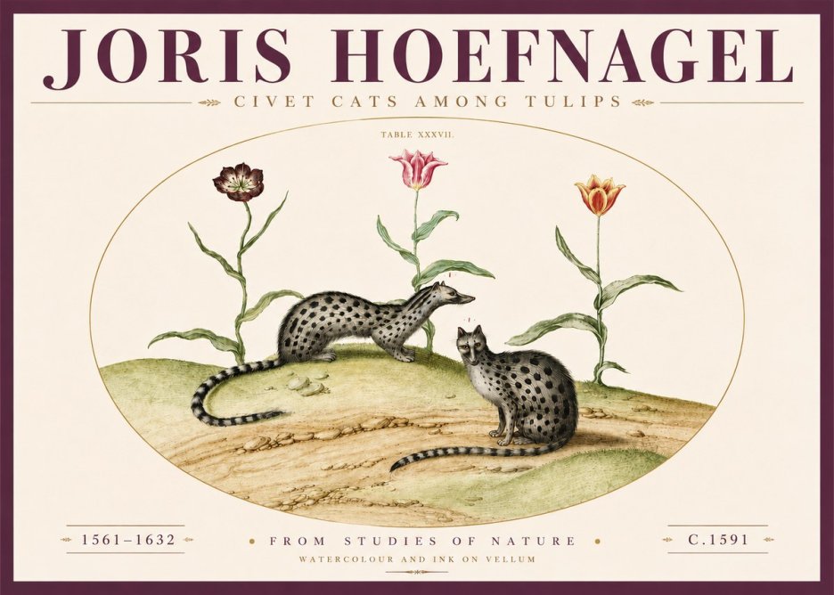 Joris Hoefnagel Civet Cats Among Tulips No4 - Juliste