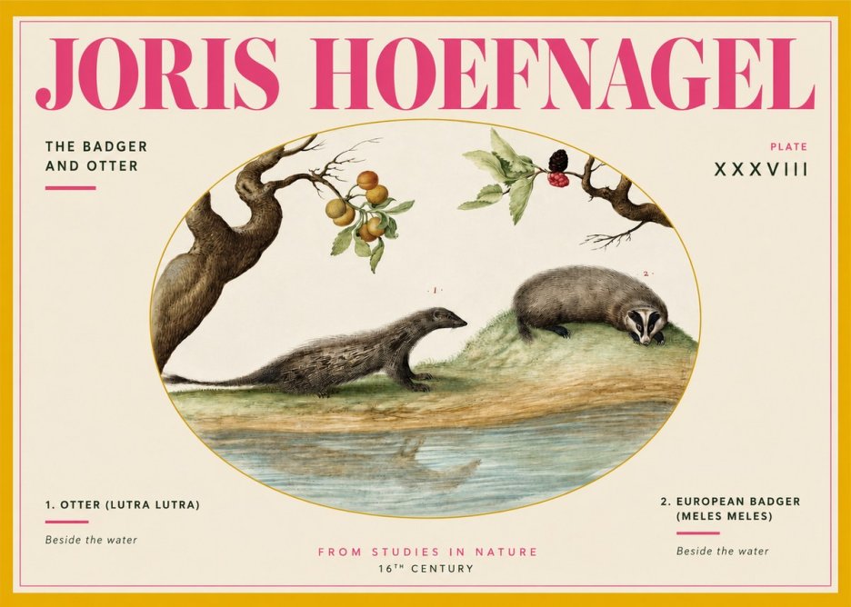 Joris Hoefnagel Studies of Animals and Nature Xxxxiii No4 - Juliste