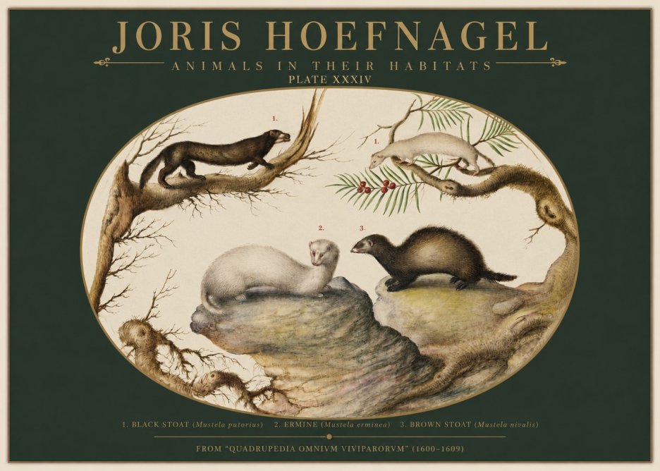 Joris Hoefnagel Animals in Their Habitats Plate Xxxiv No2 - Juliste