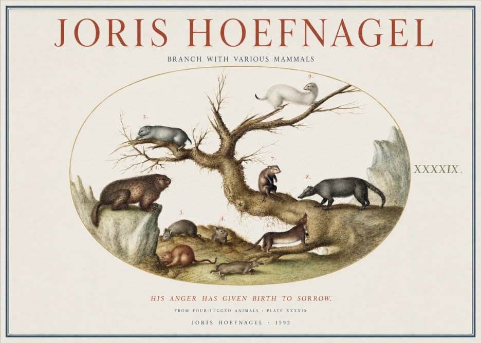 Joris Hoefnagel Branch with Various Mammals No1 - Juliste