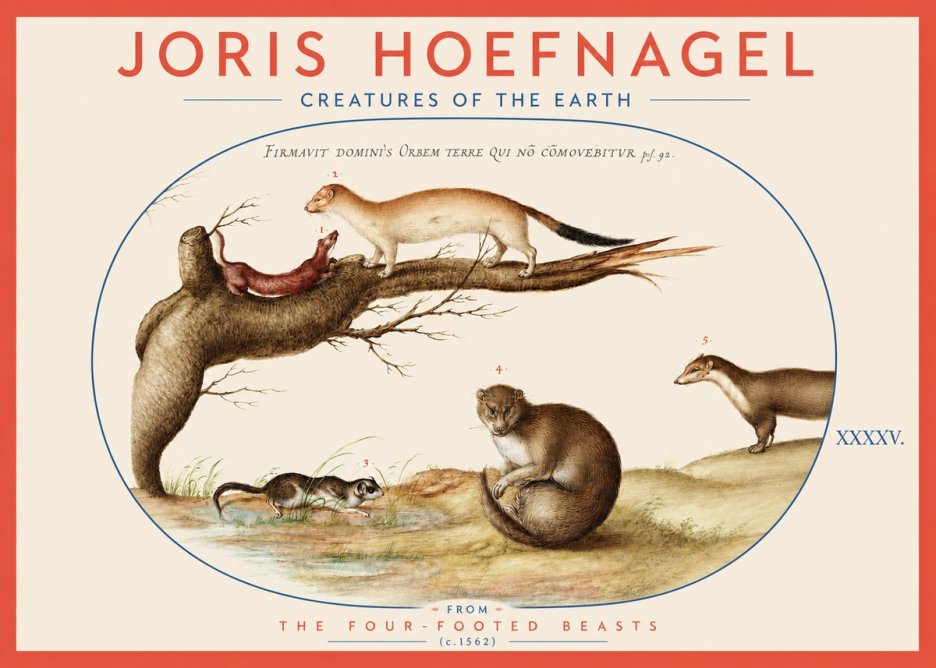 Joris Hoefnagel Creatures of the Earth I No3 - Juliste