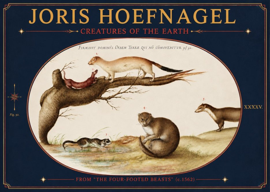 Joris Hoefnagel Creatures of the Earth I No4 - Juliste