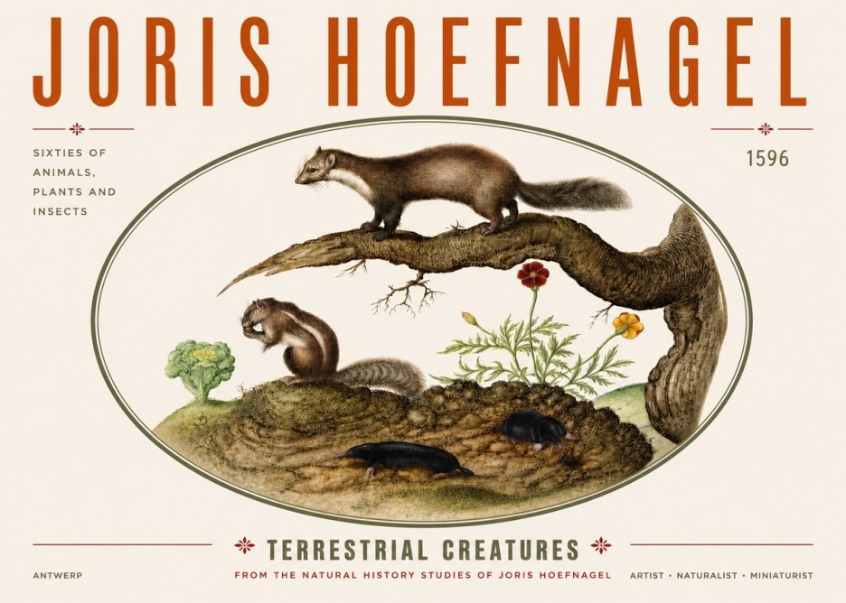 Joris Hoefnagel Terrestrial Creatures No3 - Juliste