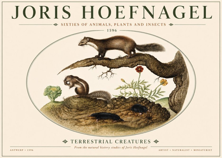 Joris Hoefnagel Terrestrial Creatures No4 - Juliste