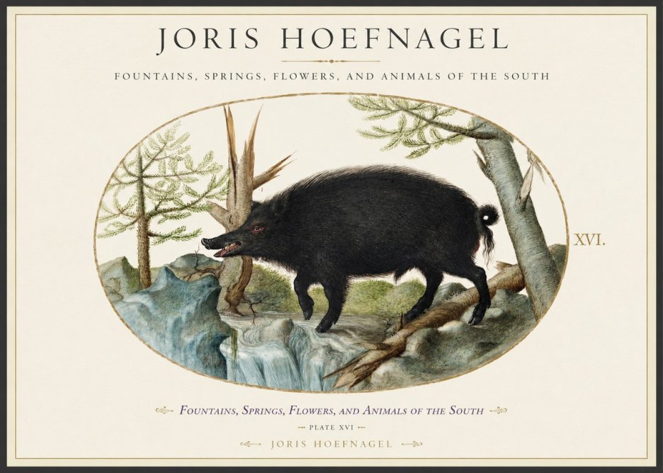 Joris Hoefnagel Fountains, Springs, Flowers, and Animals of the South - Plate Xvi No1 - Juliste