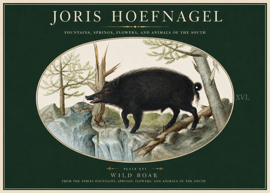 Joris Hoefnagel Fountains, Springs, Flowers, and Animals of the South - Plate Xvi No2 - Juliste