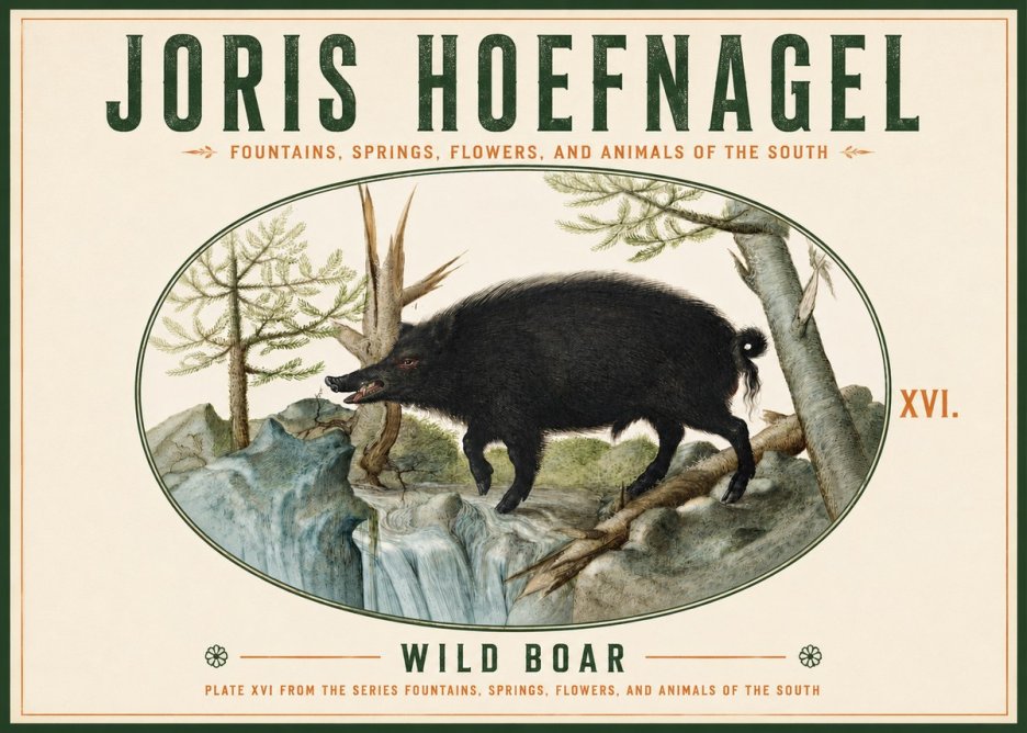 Joris Hoefnagel Fountains, Springs, Flowers, and Animals of the South - Plate Xvi No4 - Juliste