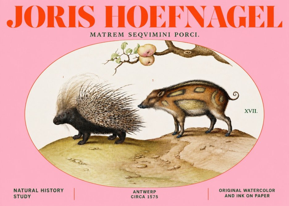 Joris Hoefnagel Matrem Seqvimini Porci. No4 - Juliste