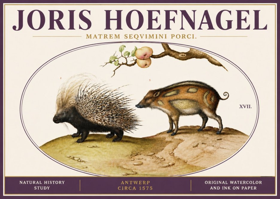 Joris Hoefnagel Matrem Seqvimini Porci. No6 - Juliste
