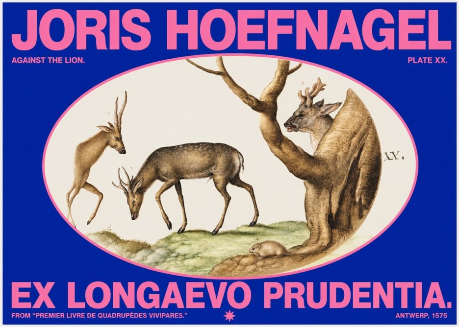 Joris Hoefnagel Do Not Rush Against the Lion. No6 - Juliste