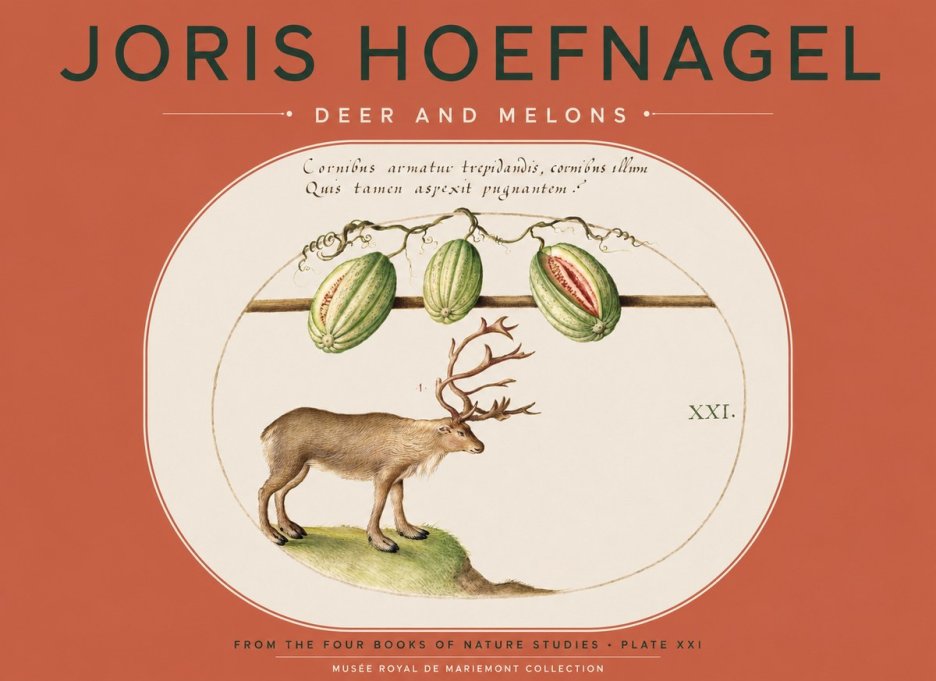 Joris Hoefnagel Arctic Nature Study No5 - Juliste