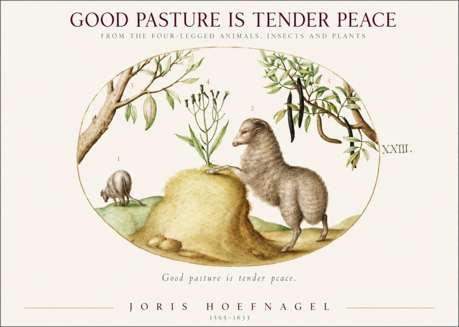 Joris Hoefnagel Good Pasture Is Tender Peace. No1 - Juliste
