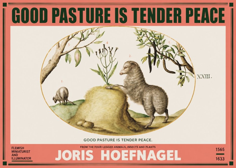 Joris Hoefnagel Good Pasture Is Tender Peace. No2 - Juliste
