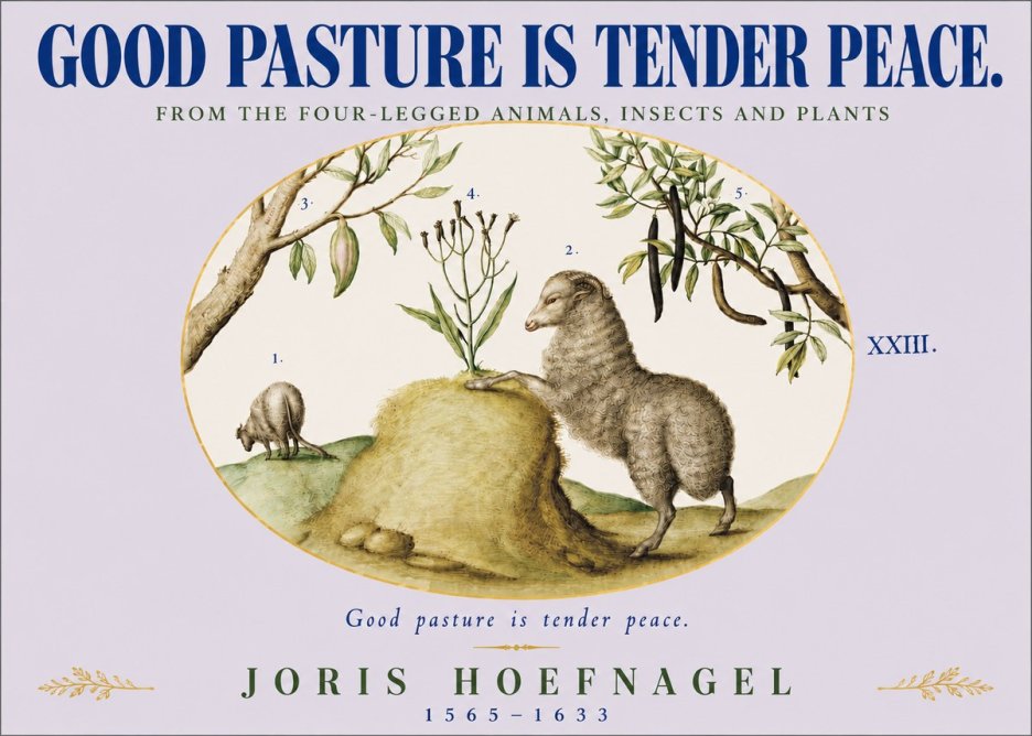 Joris Hoefnagel Good Pasture Is Tender Peace. No4 - Juliste