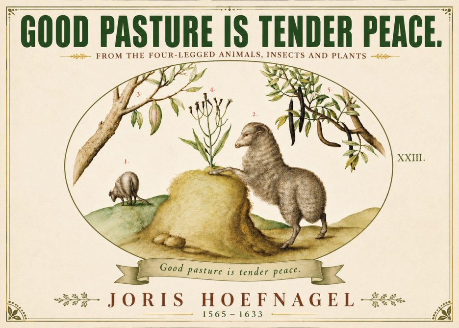 Joris Hoefnagel Good Pasture Is Tender Peace. No6 - Juliste