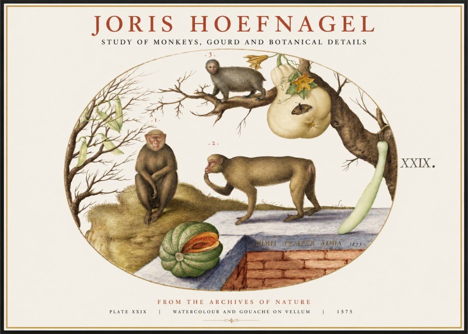 Joris Hoefnagel But Always a Monkey, Always a Monkey. Plate Xxix No2 - Juliste
