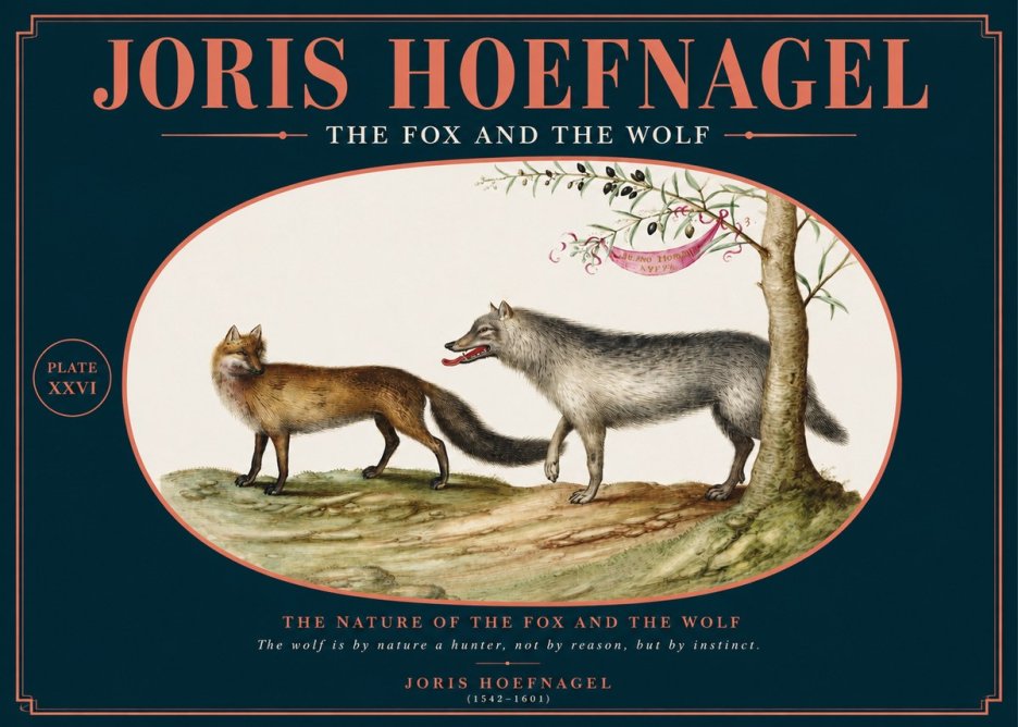Joris Hoefnagel The Fox and the Wolf No2 - Juliste