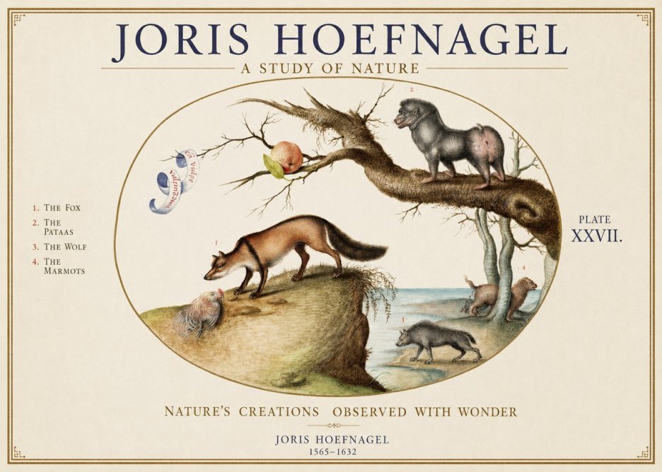 Joris Hoefnagel A Study of Nature - Plate Xxvii No1 - Juliste