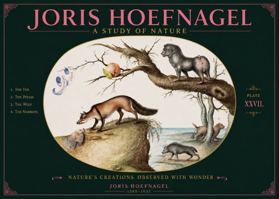 Joris Hoefnagel A Study of Nature - Plate Xxvii No2 - Juliste