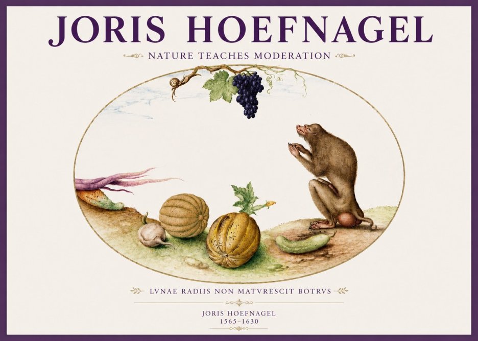 Joris Hoefnagel Nature Teaches Moderation No3 - Juliste