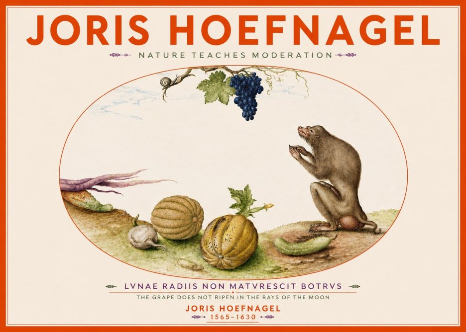 Joris Hoefnagel Nature Teaches Moderation No4 - Juliste