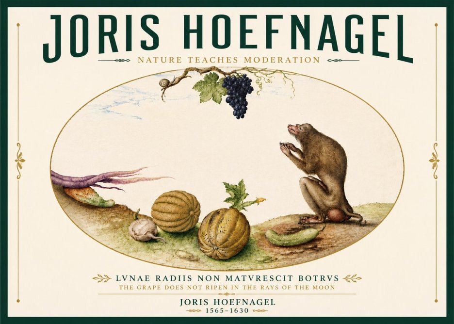 Joris Hoefnagel Nature Teaches Moderation No6 - Juliste