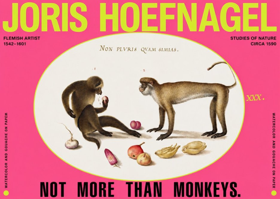 Joris Hoefnagel Not More Than Monkeys No2 - Juliste