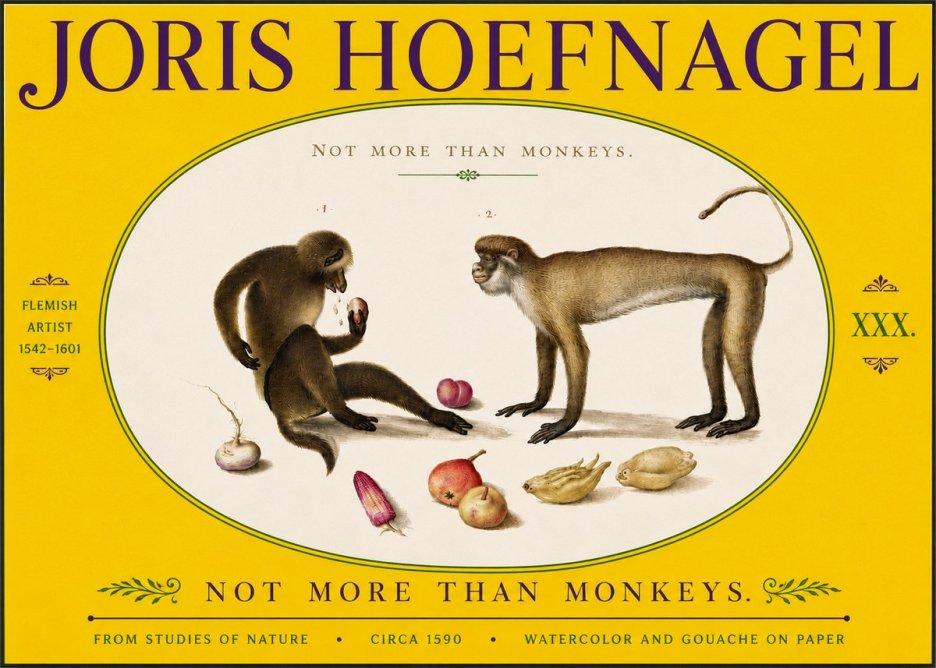 Joris Hoefnagel Not More Than Monkeys No5 - Juliste