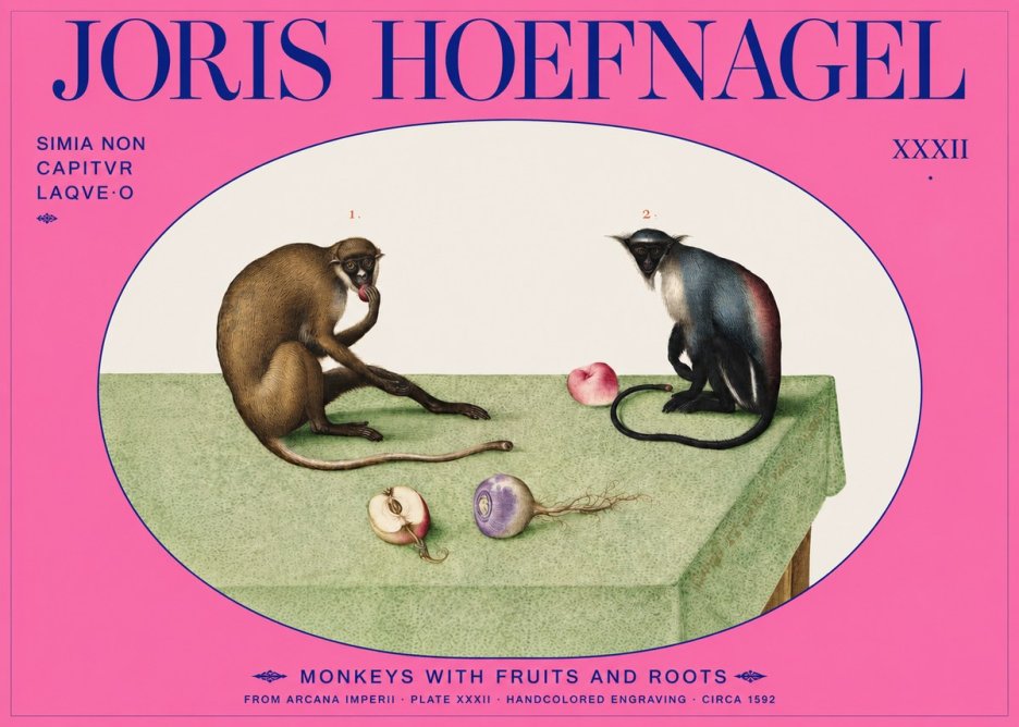 Joris Hoefnagel Monkeys with Fruits and Roots No2 - Juliste