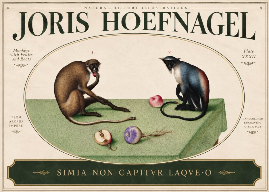 Joris Hoefnagel Monkeys with Fruits and Roots No5 - Juliste
