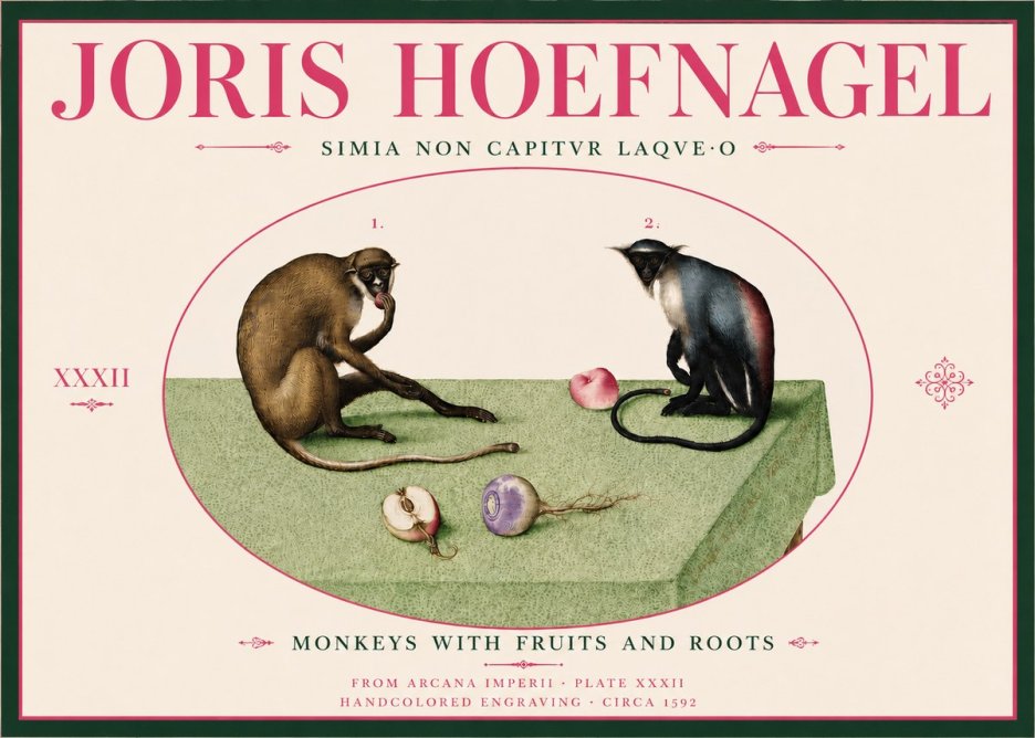 Joris Hoefnagel Monkeys with Fruits and Roots No6 - Juliste
