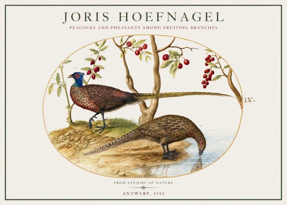 Joris Hoefnagel Peacocks and Pheasants Among Fruiting Branches No1 - Juliste