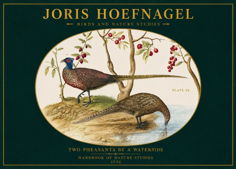 Joris Hoefnagel Peacocks and Pheasants Among Fruiting Branches No3 - Juliste
