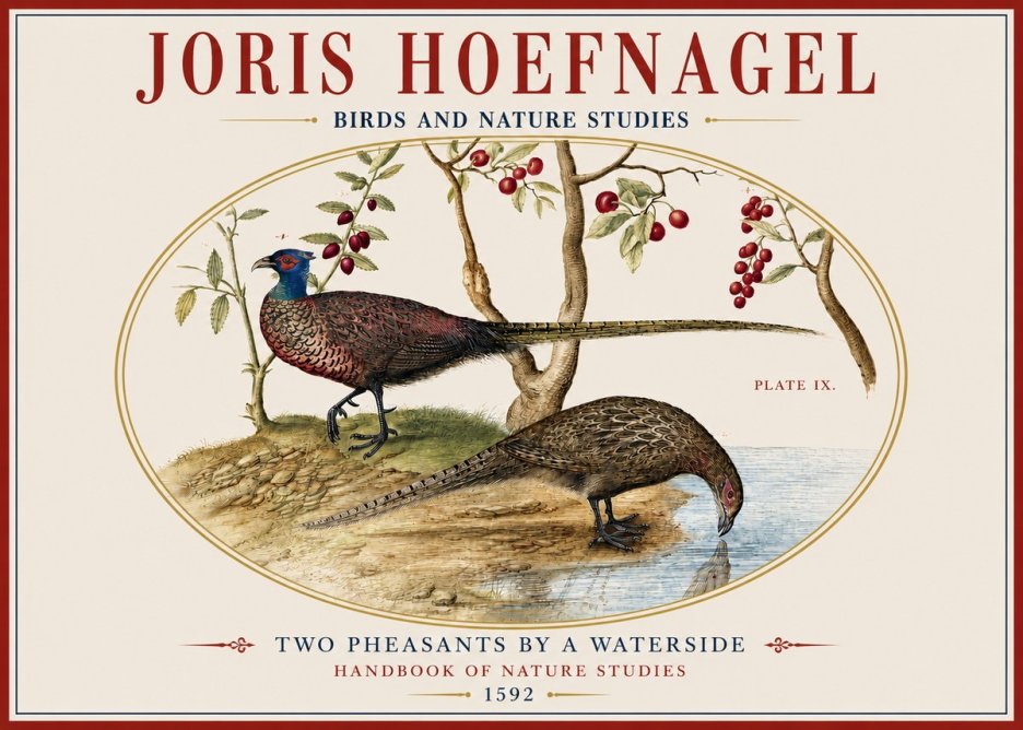 Joris Hoefnagel Peacocks and Pheasants Among Fruiting Branches No4 - Juliste