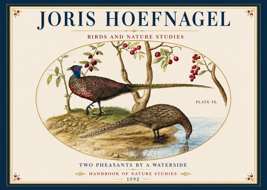 Joris Hoefnagel Peacocks and Pheasants Among Fruiting Branches No6 - Juliste