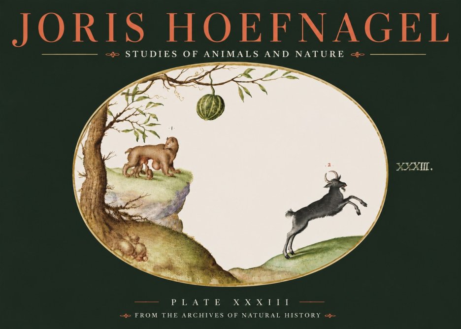 Joris Hoefnagel Plate Xxxiii No4 - Juliste