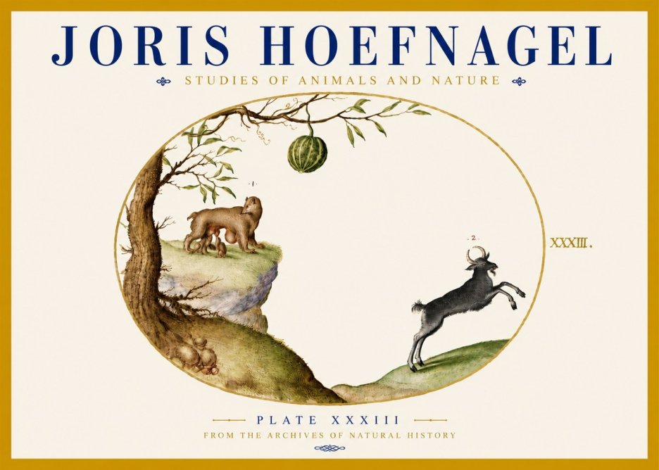 Joris Hoefnagel Plate Xxxiii No5 - Juliste
