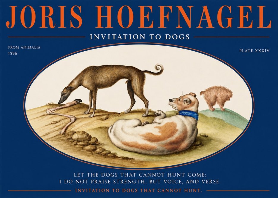 Joris Hoefnagel Invitation to Dogs No2 - Juliste