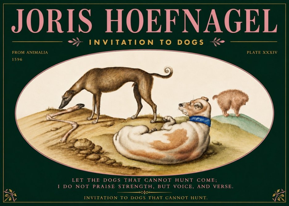 Joris Hoefnagel Invitation to Dogs No5 - Juliste