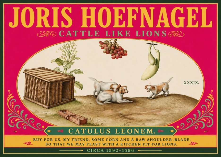 Joris Hoefnagel Cattle Like Lions No6 - Juliste
